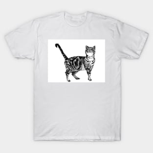 Black and White Striped Tabby Cat T-Shirt